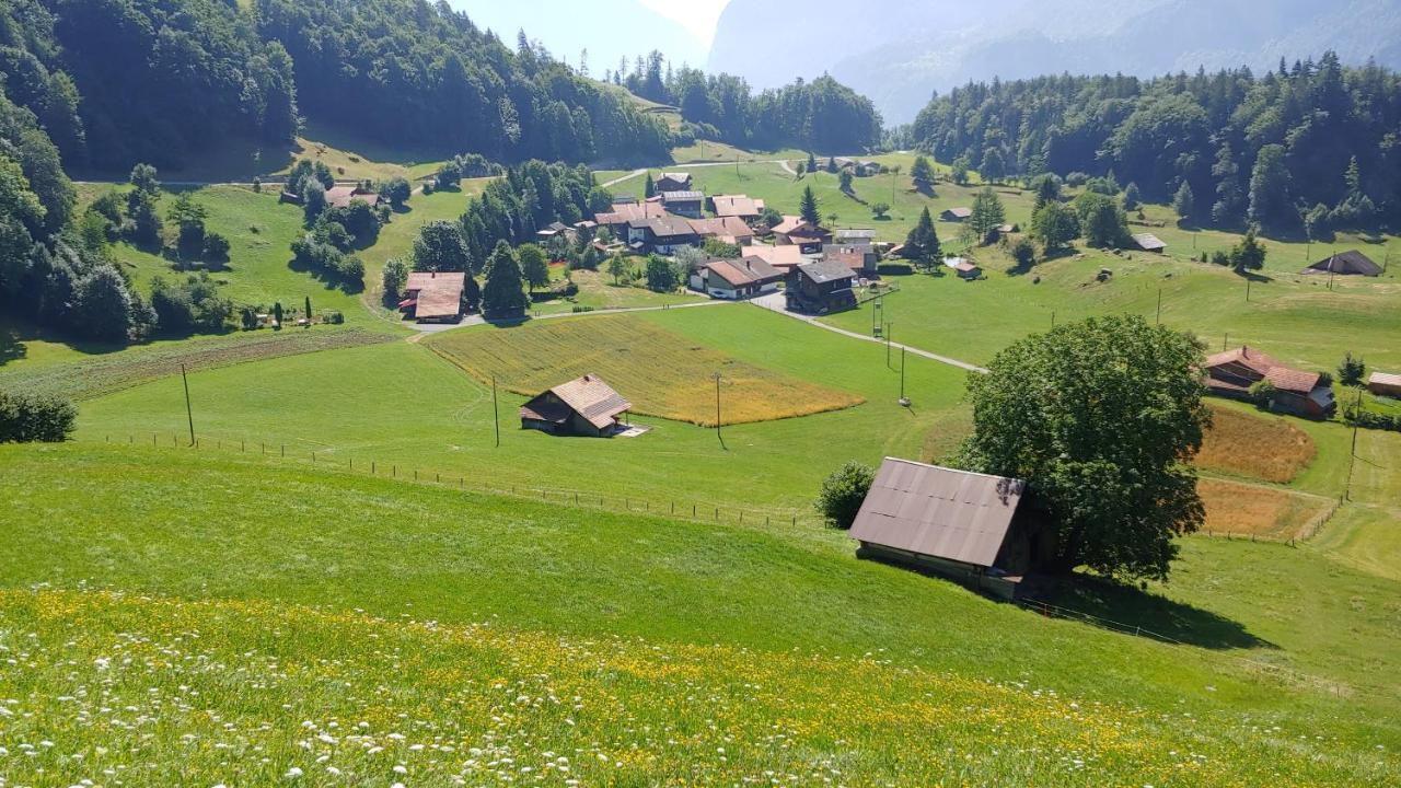 Chalet Bruenig Meiringen Eksteriør bilde
