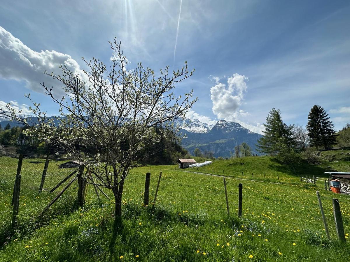 Chalet Bruenig Meiringen Eksteriør bilde