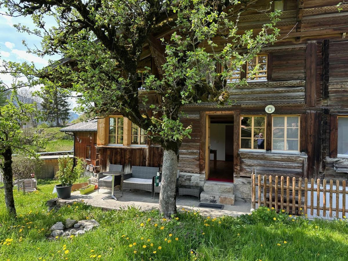 Chalet Bruenig Meiringen Eksteriør bilde