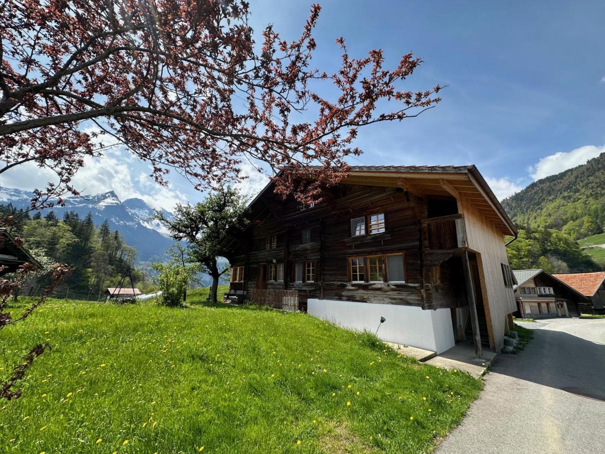 Chalet Bruenig Meiringen Eksteriør bilde