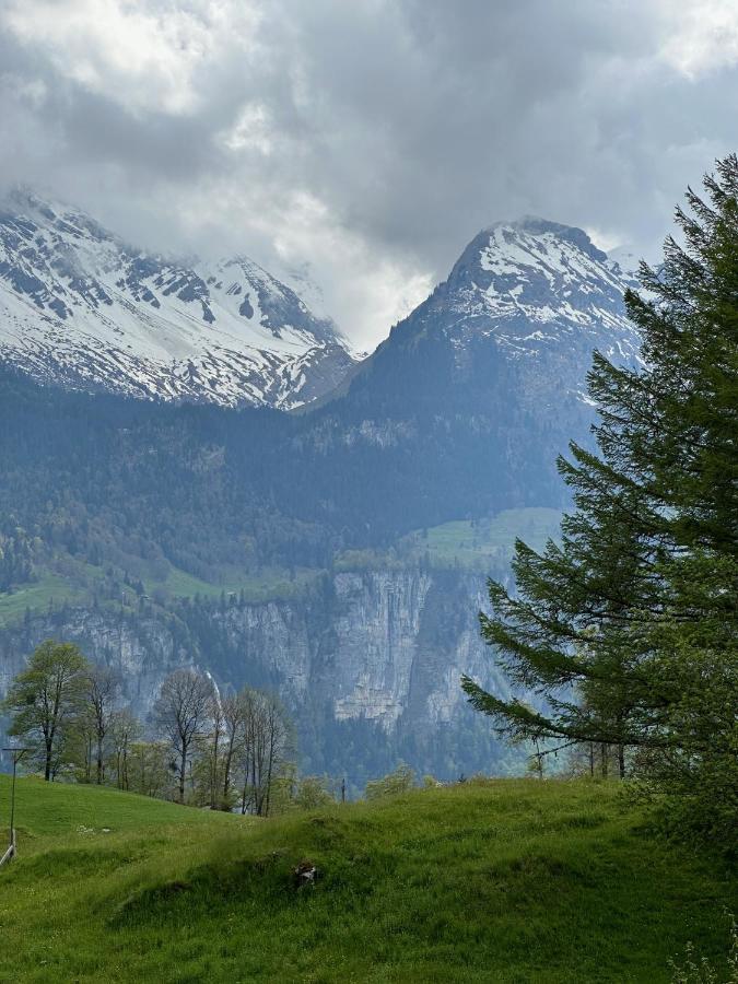 Chalet Bruenig Meiringen Eksteriør bilde