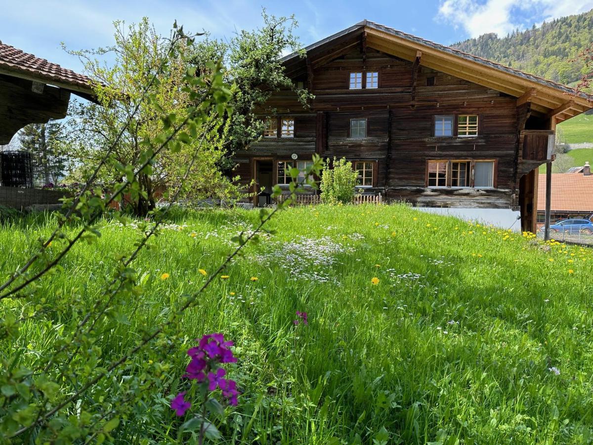 Chalet Bruenig Meiringen Eksteriør bilde