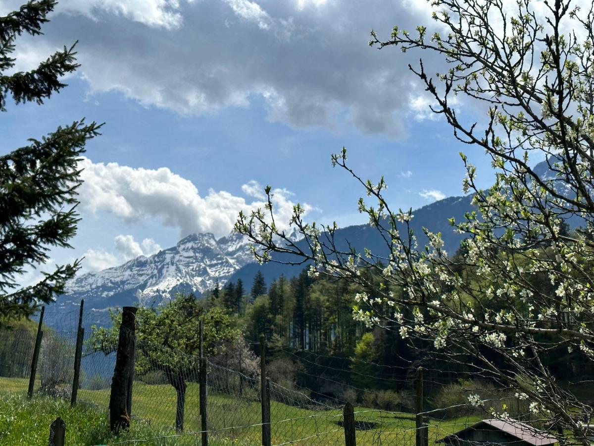 Chalet Bruenig Meiringen Eksteriør bilde