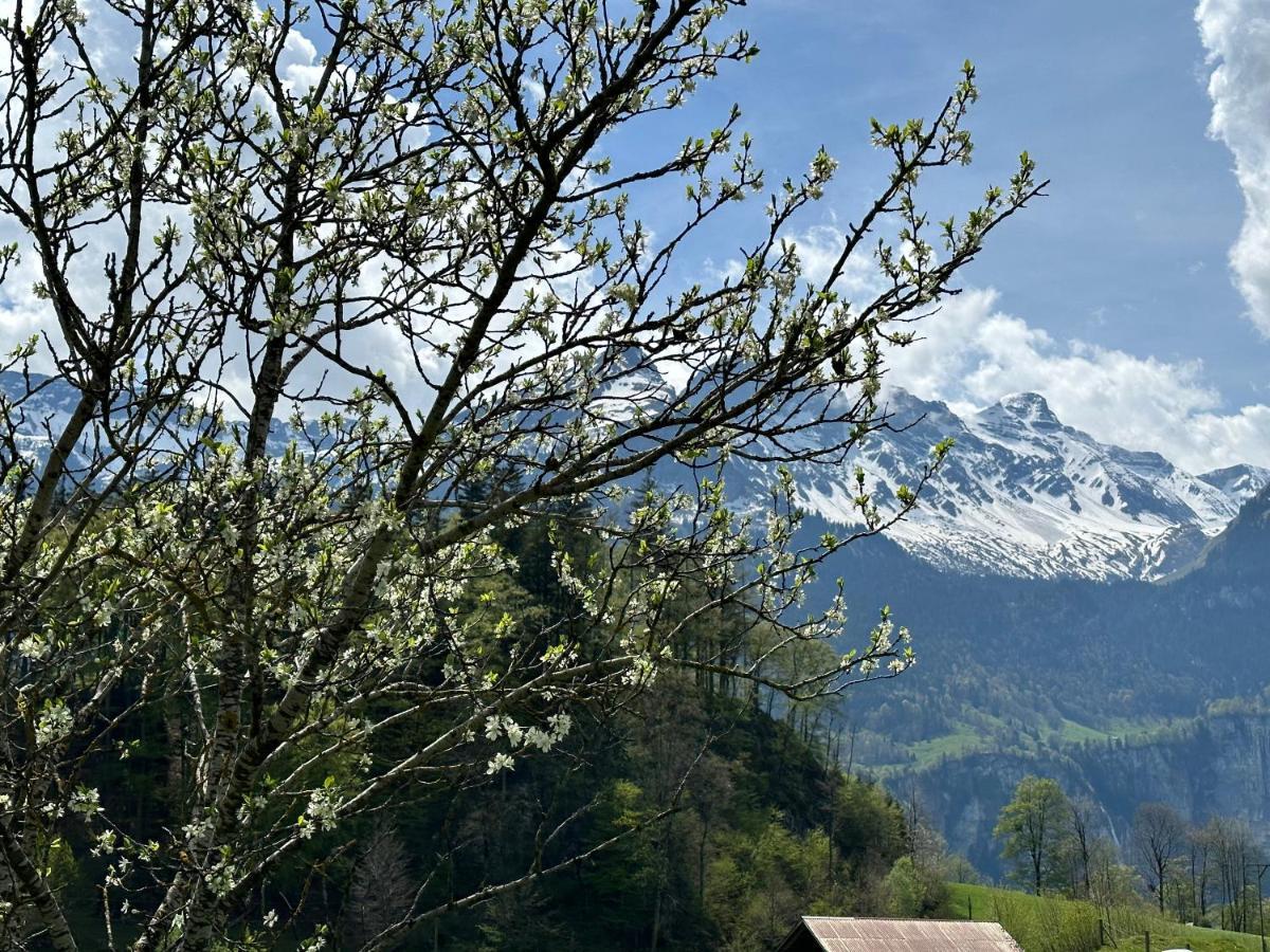 Chalet Bruenig Meiringen Eksteriør bilde