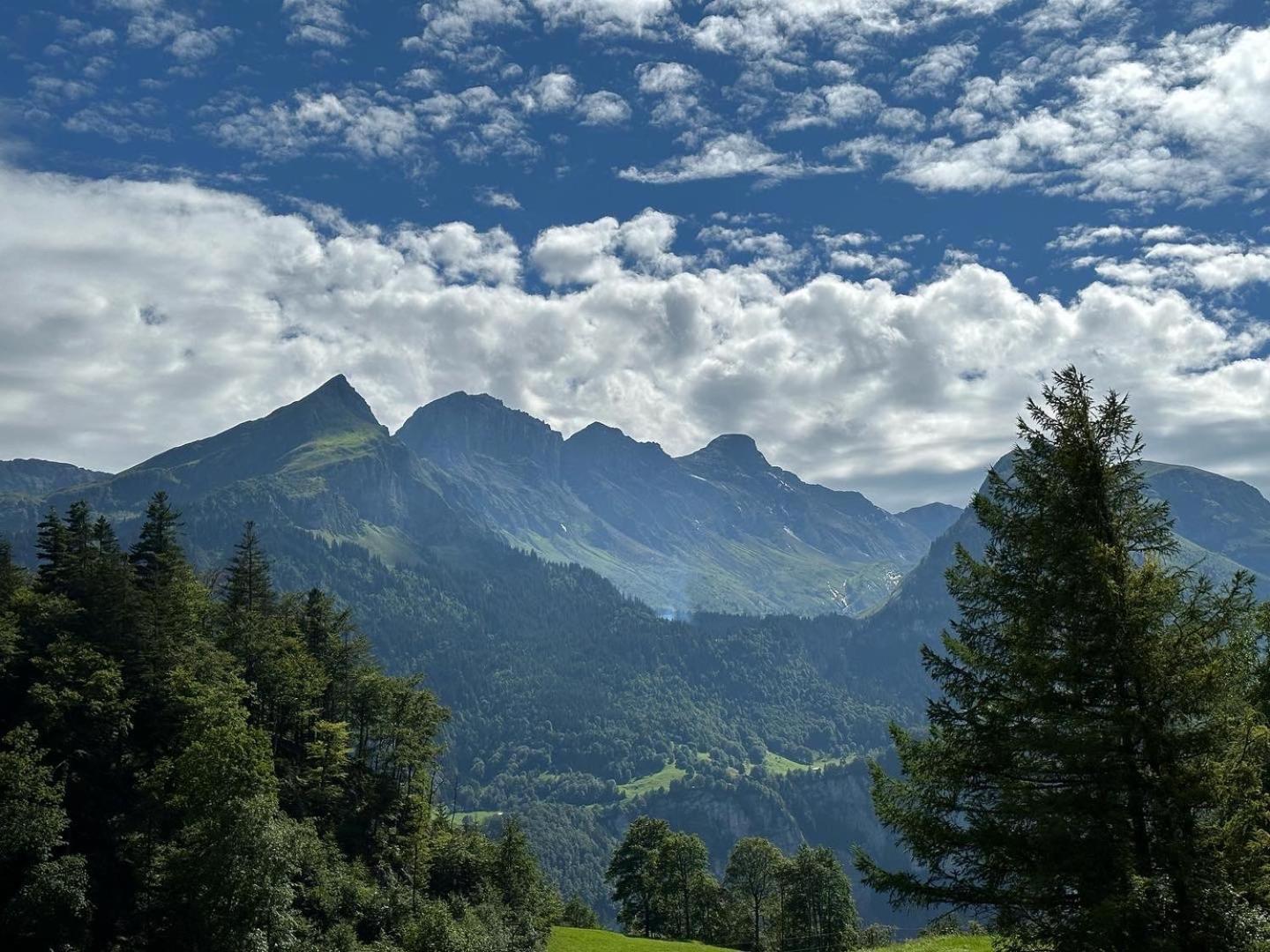 Chalet Bruenig Meiringen Eksteriør bilde