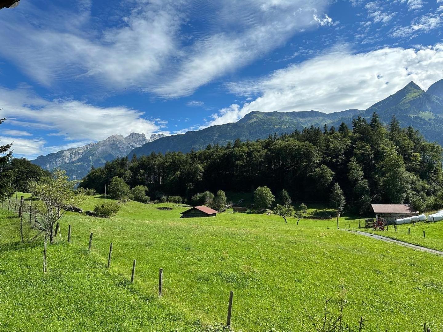 Chalet Bruenig Meiringen Eksteriør bilde