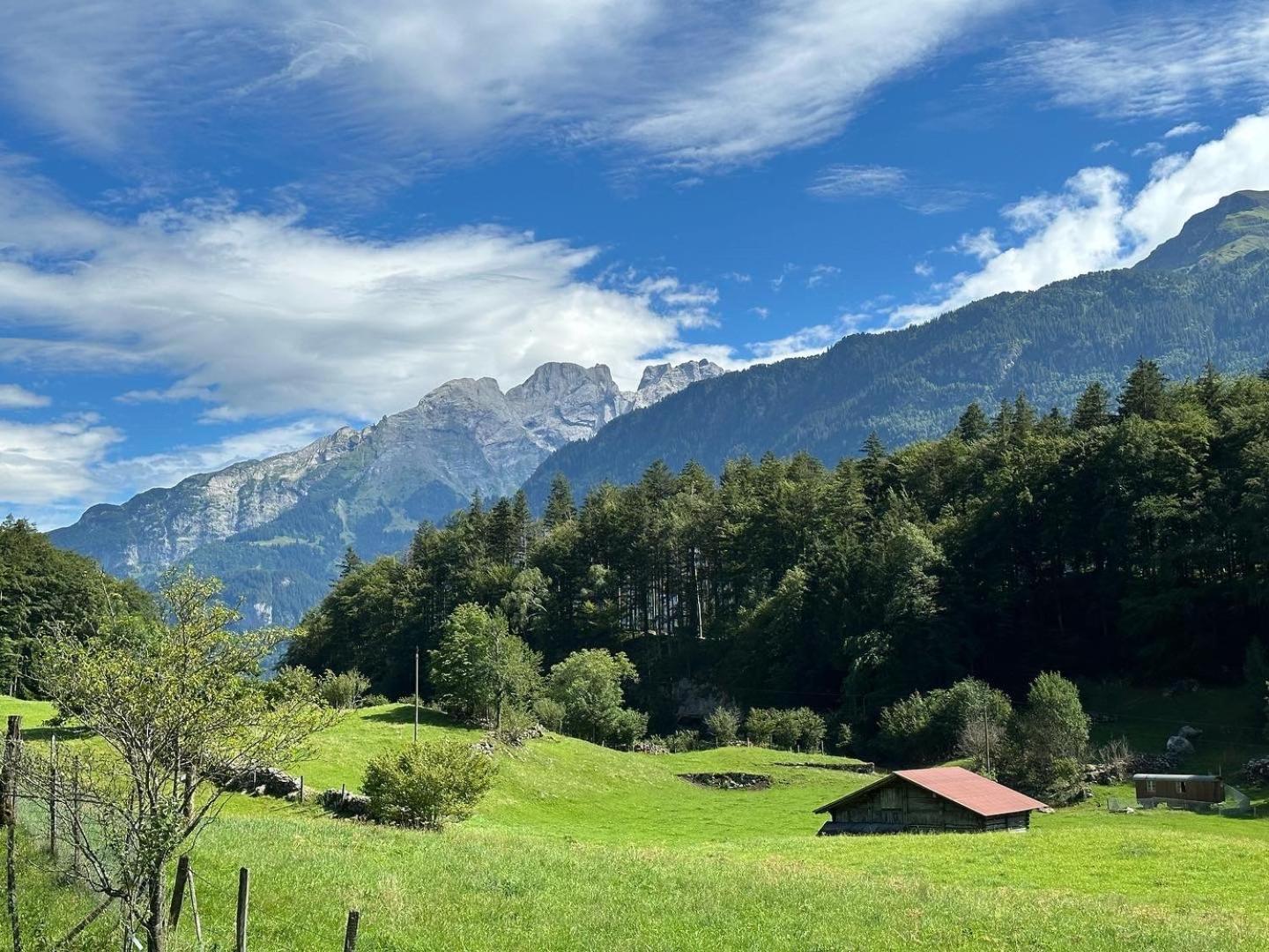 Chalet Bruenig Meiringen Eksteriør bilde