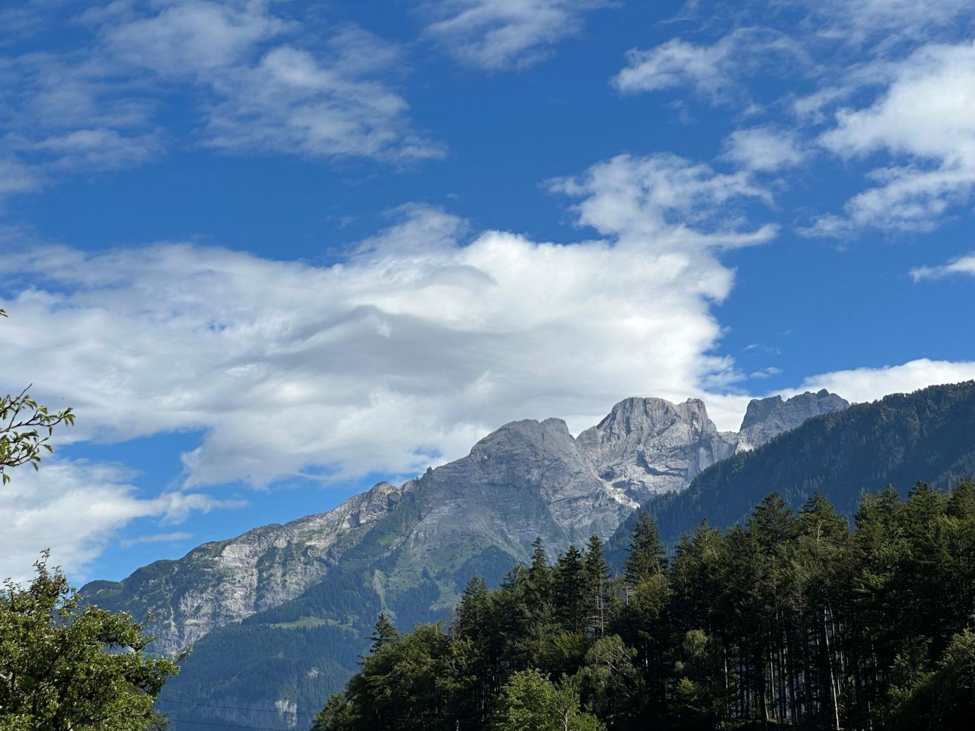Chalet Bruenig Meiringen Eksteriør bilde