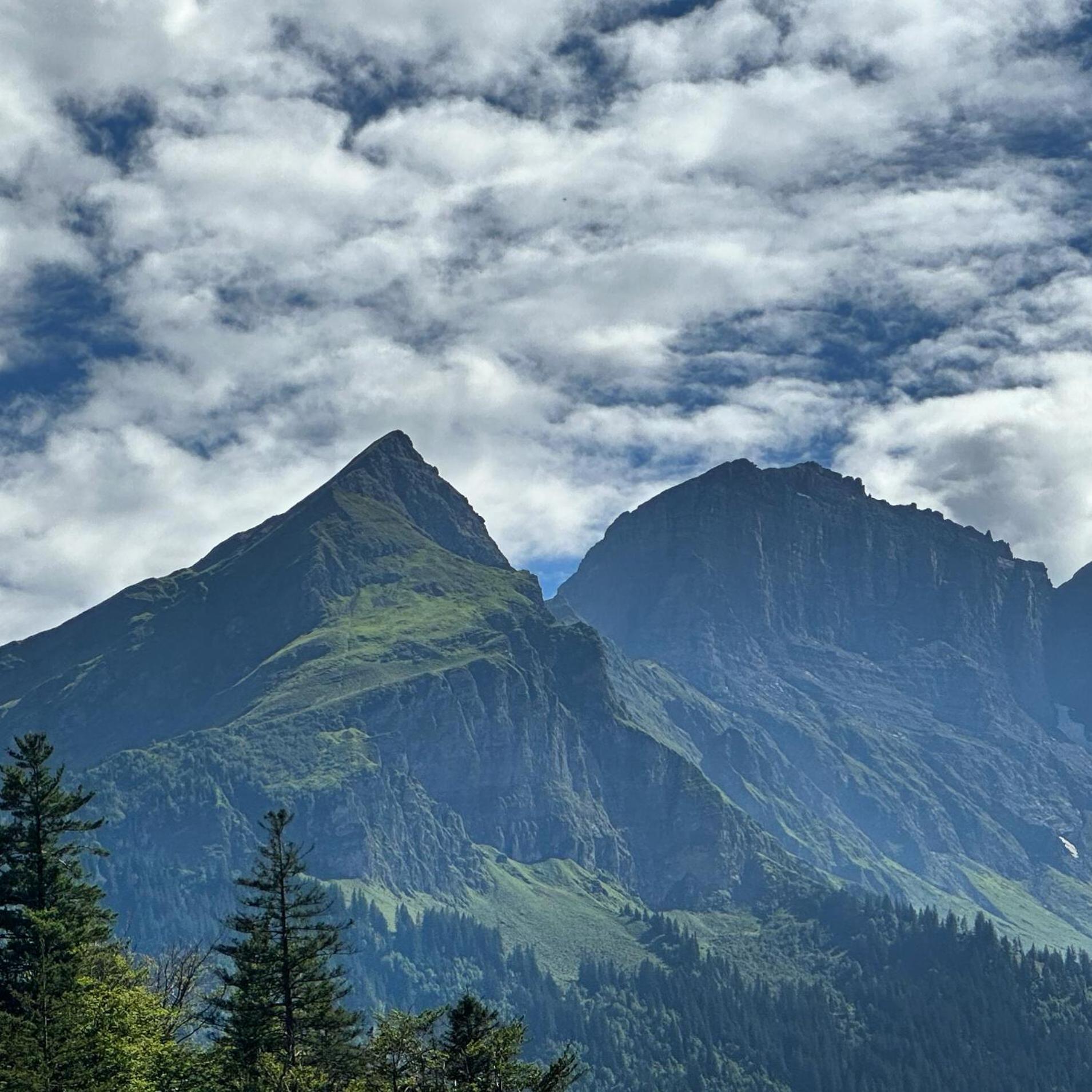 Chalet Bruenig Meiringen Eksteriør bilde